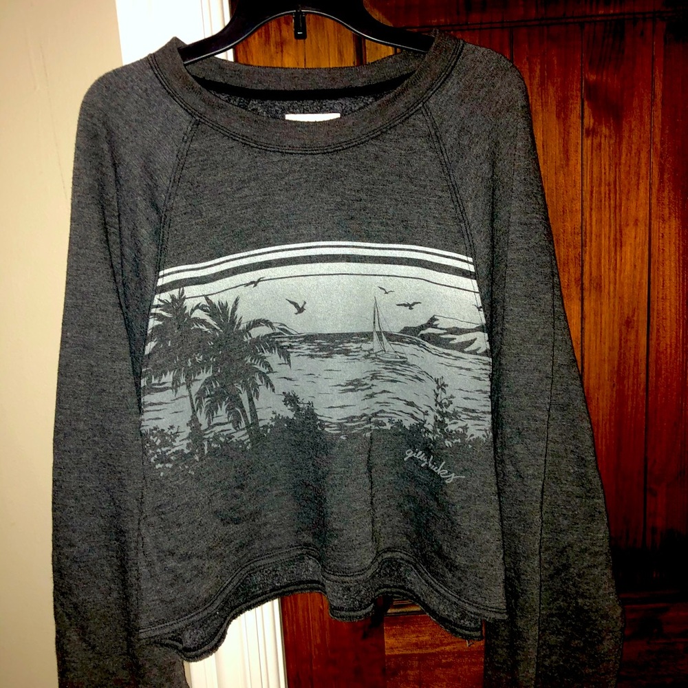 Gilly hicks cropped sweatshirt